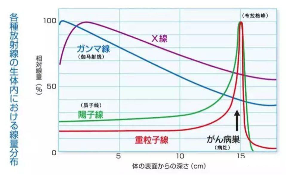 不同放射线的剂量对比