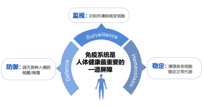 当免疫力走下坡路时,自体免疫细胞回输是最直接有效的方法