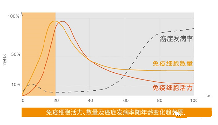 免疫细胞活力和年龄的关系