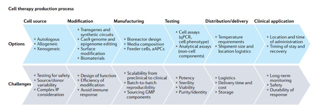 细胞疗法遇到的挑战