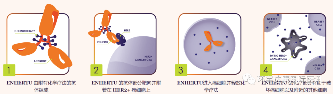 2022中美5款肺癌明星药震撼上市,还有2款即将获批​!