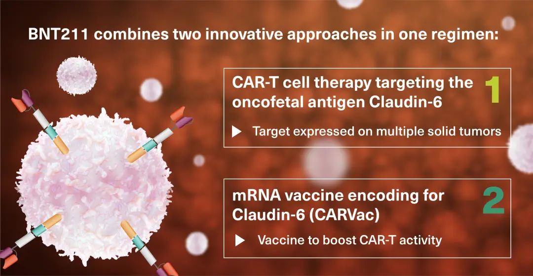 代号BNT211的CAR-T疗法