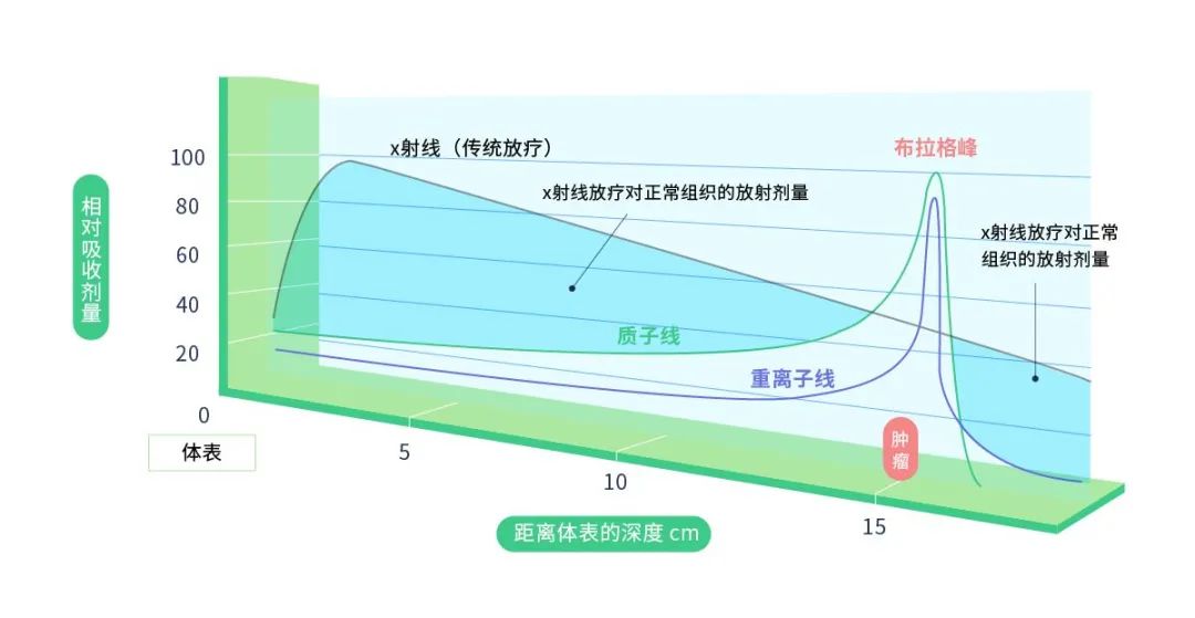 不同放射线的相对吸收剂量