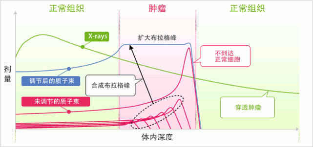 质子射线在体内的深度和剂量