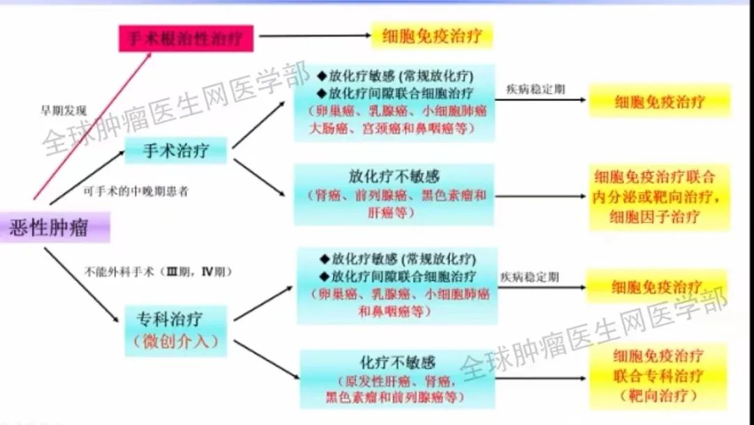 同样患癌,为什么有的人只活了3个月,有的人活过了10年?这4个成功抗癌秘籍快收藏