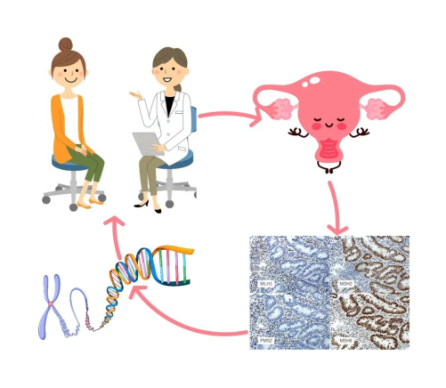子宫内膜癌基因检测