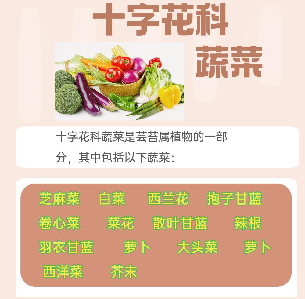 十字花科蔬菜