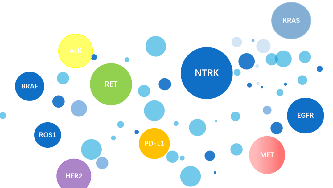 2022肺癌10大"钻石"靶点闪耀!31款获批新药信息汇总