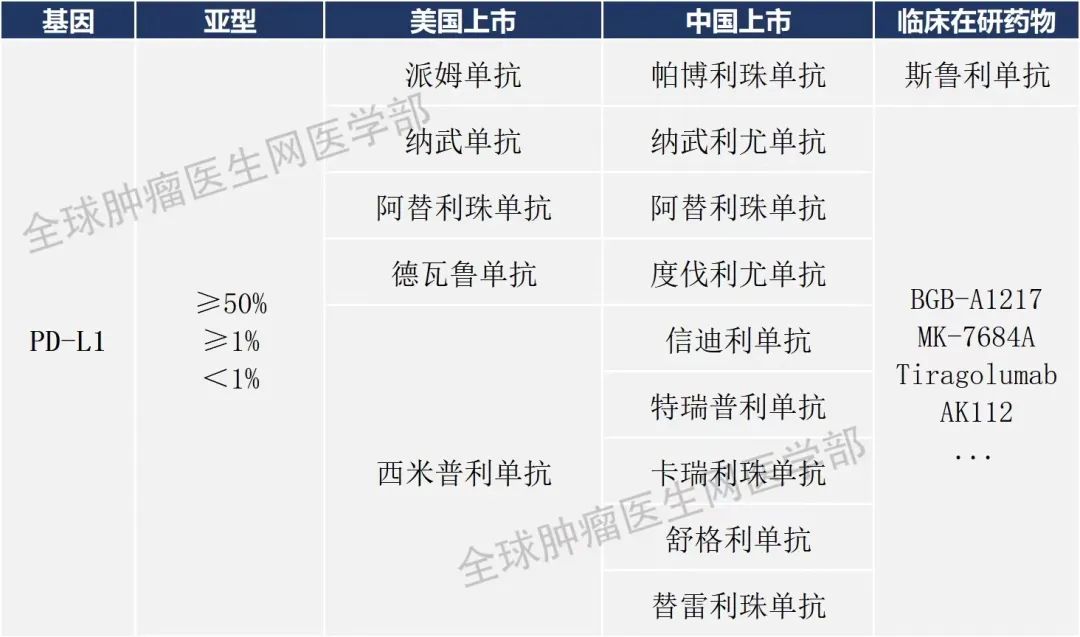 2022年中美获批及在研的PD-L1新药一览