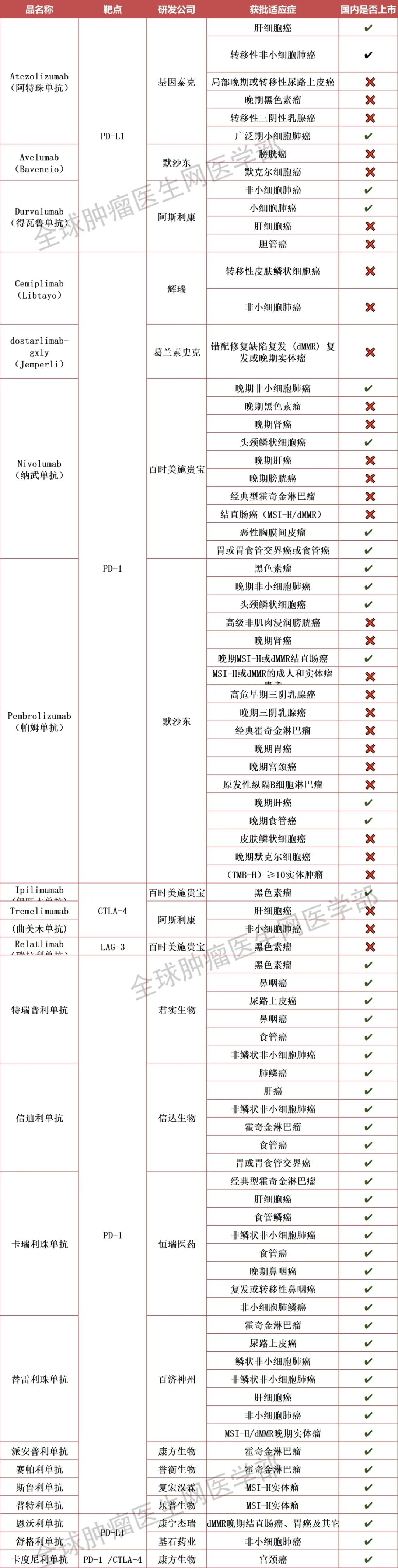 免疫检查点抑制剂