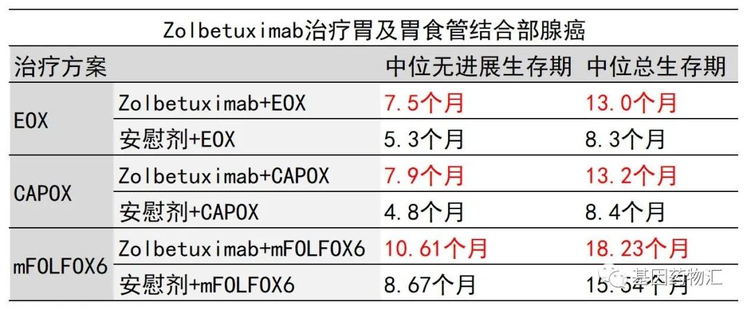 胃癌一线治疗新进展!Zolbetuximab数据更新,生存期再延长!