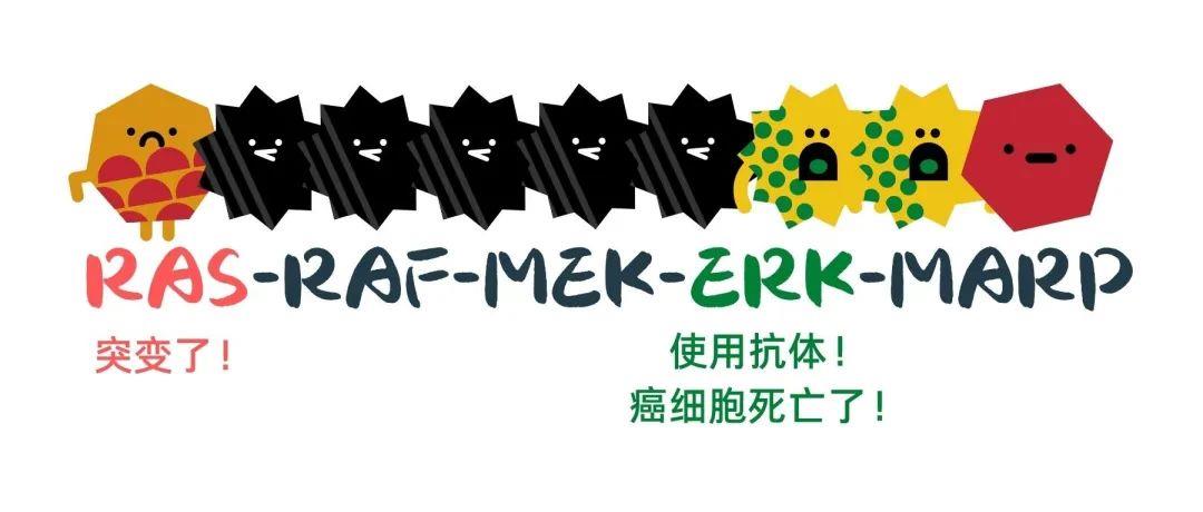 ERK抑制剂