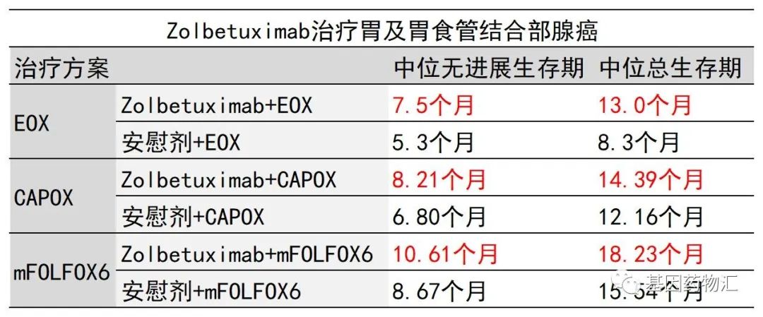 CSCO胃癌指南更新:这两款靶向药分别为胃癌的一线治疗及二线治疗带来新突破!