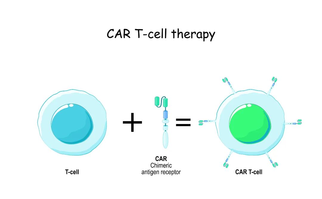 CAR-T细胞疗法