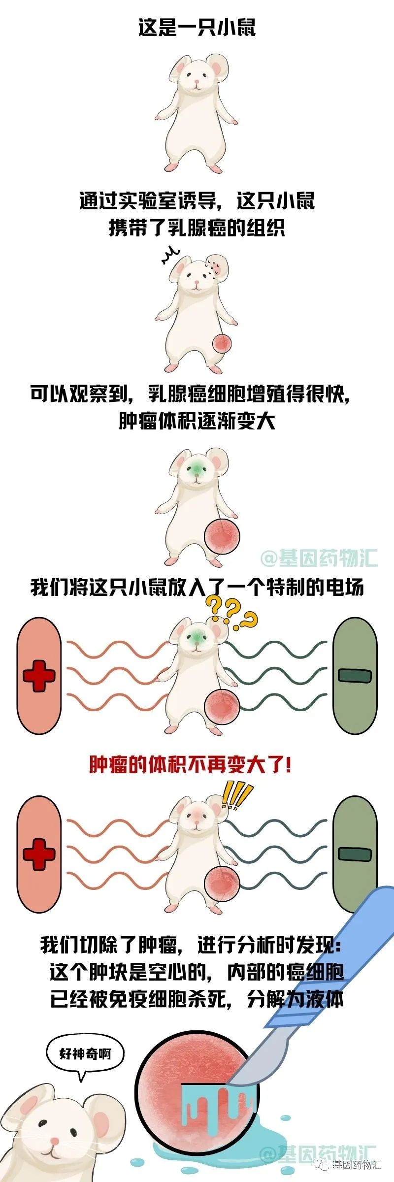 日本电场疗法治疗效果