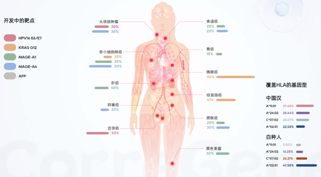 TCR-T疗法主要适应证