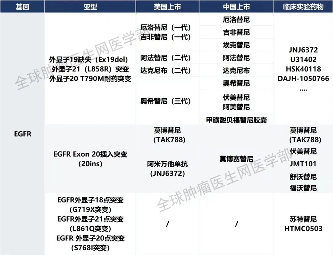 在研的EGFR靶向药