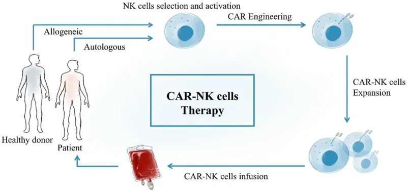 现货型CAR-NK疗法,直击多款血液肿瘤、卵巢癌、直结肠癌等,完全缓解率达70%