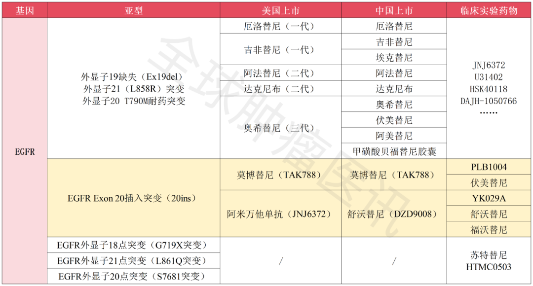 EGFR靶向药