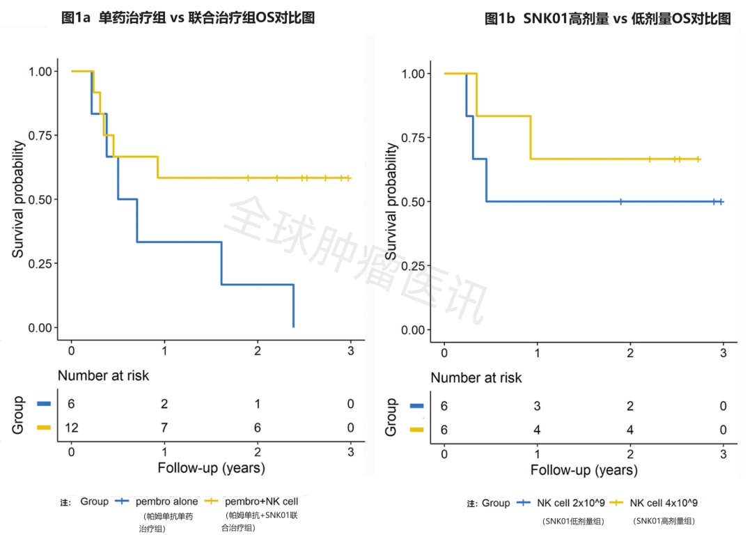 抗癌先锋NK细胞杀疯了,全力打击肺癌、肝癌、淋巴瘤，筑起首道抗癌防线