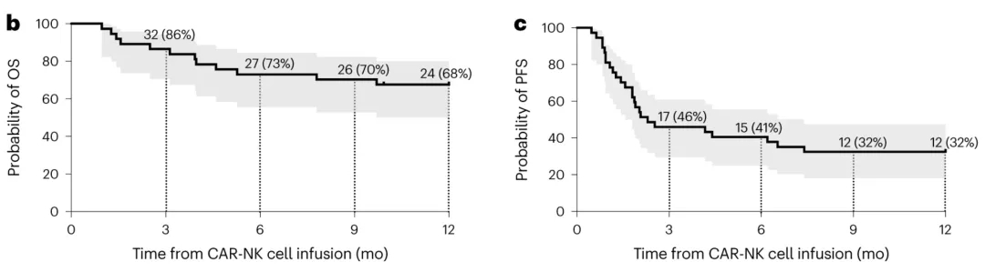 CAR-NK细胞治疗B细胞恶性肿瘤的数据