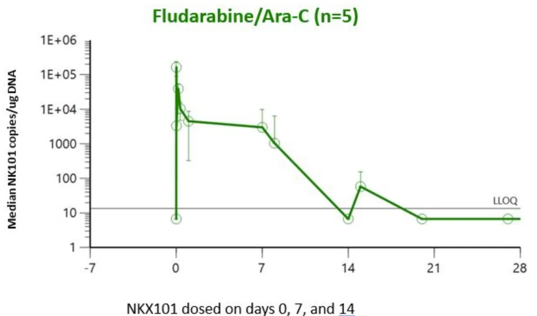 NKX101治疗数据