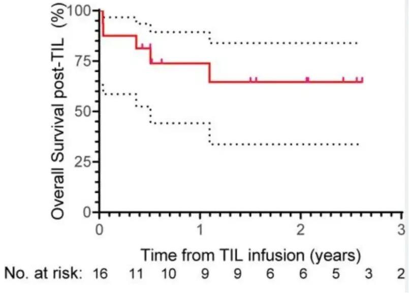TIL治疗转移性肺癌的数据