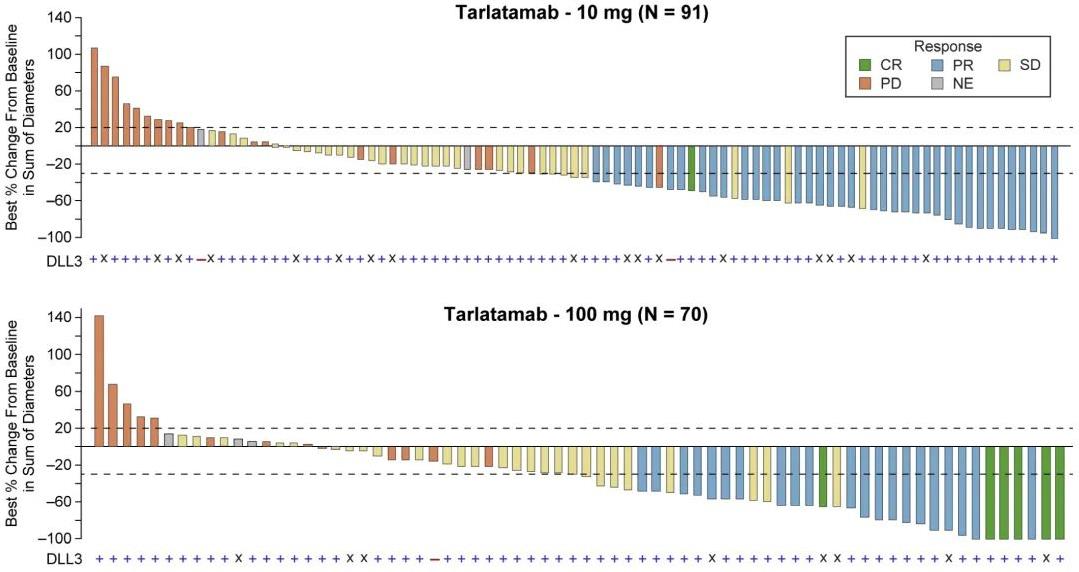 Tarlatamab客观缓解率