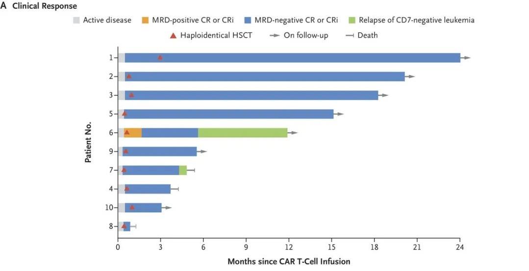 2024 ASCO:四款中国自研CAR-T疗法大展拳脚,重击结直肠癌、胰腺癌、血