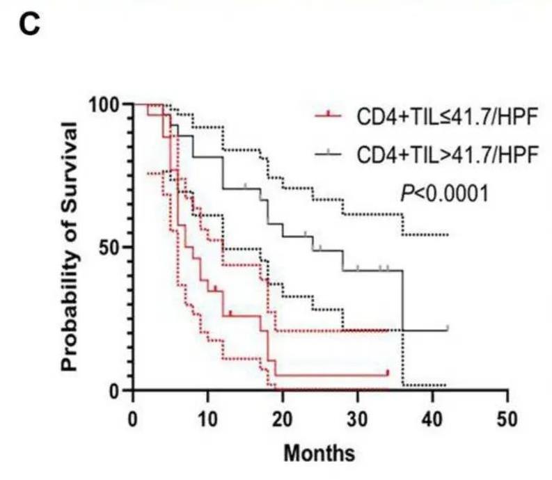 TIL细胞疗法治疗肿瘤CD4+和CD8+T细胞浸润程度