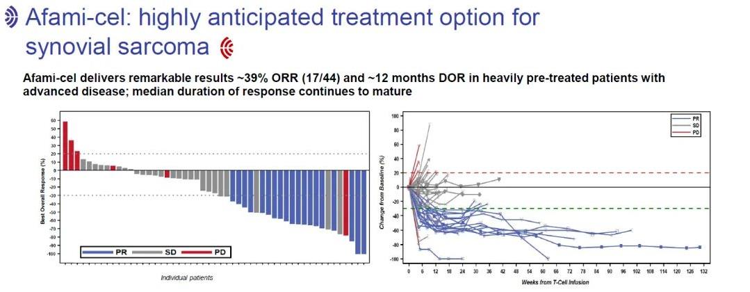 Afami-cel治疗肉瘤的总体缓解率
