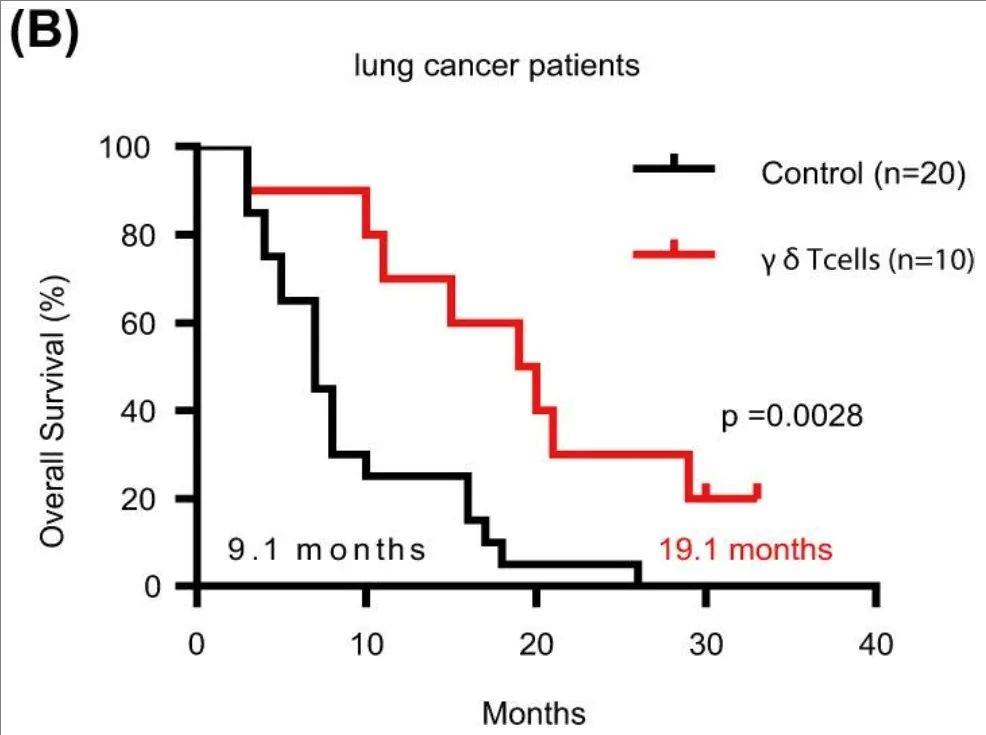 γδ T细胞治疗肺癌的数据
