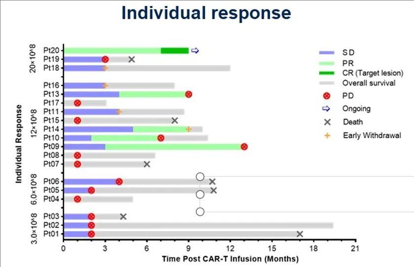 IM96 CAR-T治疗数据