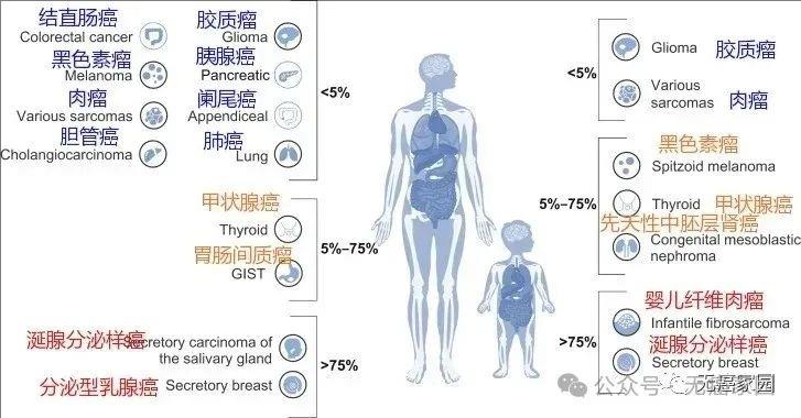 不限癌种!疾病控制率达100%,国产新一代3款NTRK靶向药横扫多样实体瘤,势头