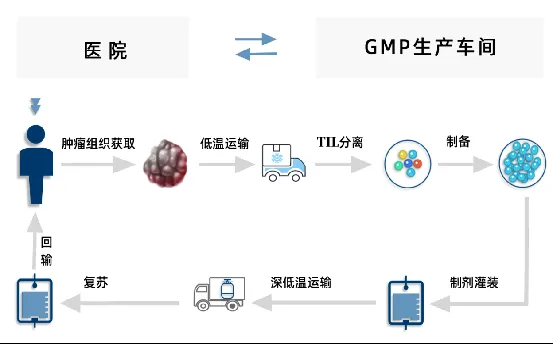 TIL细胞疗法,实体肿瘤患者的新希望